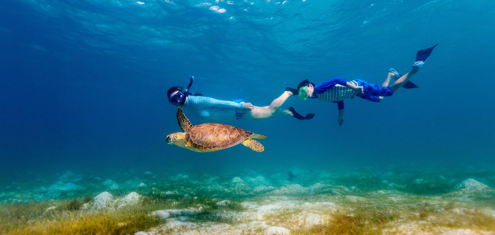 Snorkeling Excursion - Safaga Shore Excursions