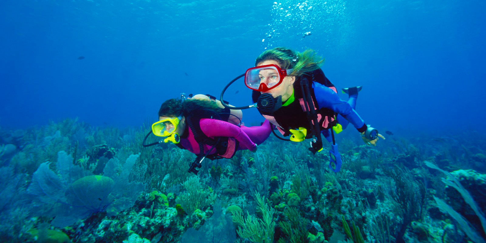 Top Things to Do in Safaga - Safaga Shore Excursions